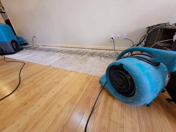 Professional Basement Flood Cleanup technician working in Avoca, NE